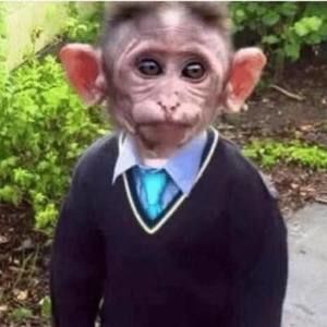 Meet your Posher, Billy